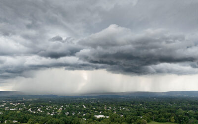 Storm preparedness tips to protect your home and business.