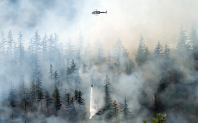 Breathe easy: 9 essential tips to protect outdoor workers from wildfire smoke.