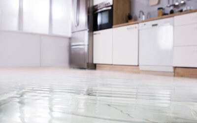 Insurance Insider: Expert tips to prevent water damage in your home.